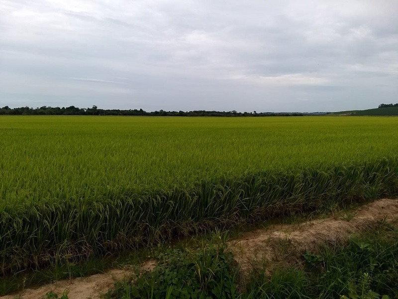 IMG-20180611-WA0059